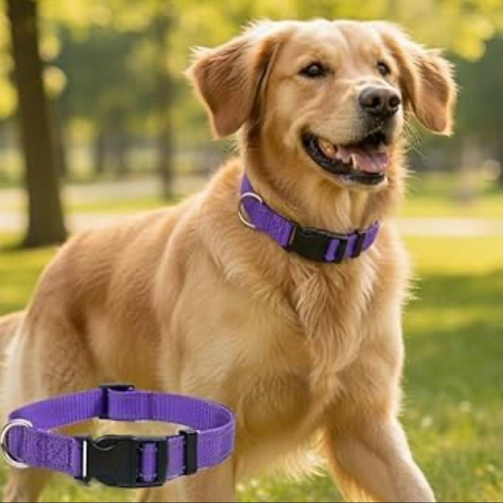 💞 New Small Purple Reflective Puppy Dog Pet Collar